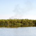 BWA NW OkavangoDelta 2016DEC01 Nguma 036 : 2016, 2016 - African Adventures, Africa, Botswana, Date, December, Month, Ngamiland, Nguma, Northwest, Okavango Delta, Places, Southern, Trips, Year